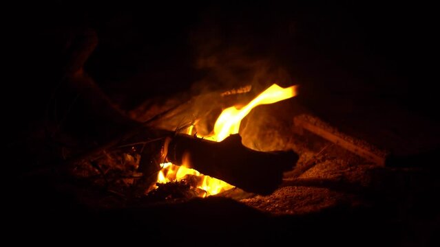 4k video of burning wood in the campfire at night.