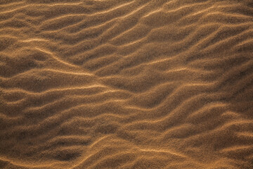 Sand ripples texture background