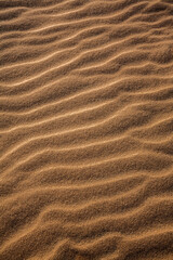Sand ripples texture background