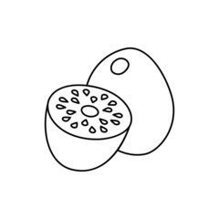 Kiwi fruit icon in line style icon, isolated on white background