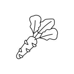 Wasabi icon in line style icon, isolated on white background