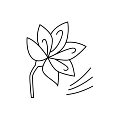 Saffron icon in line style icon, isolated on white background