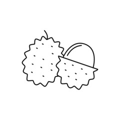 Fototapeta premium Lychee fruit icon in line style icon, isolated on white background