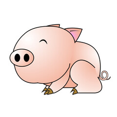 A Pig with white background