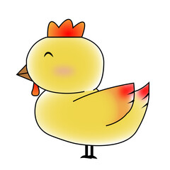 A chicken with white background