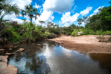 mountain river in the tropical rainforest