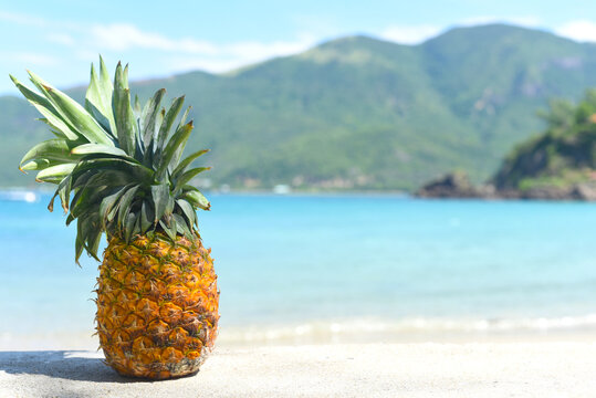 Ripe pineapple on tropical beach background 