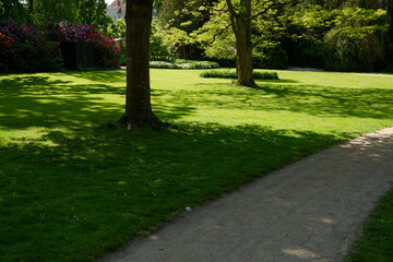 Fototapeta na wymiar Landscape. Green shady European city park. Resting-place. European park with shady alleys, a trimmed lawn, decorative bushes and trees on a summer day.