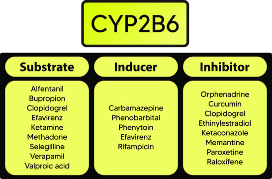 CYP2B6 Cytochrome p450 enzyme pharmaceutical substrates, inhibitors and inducers examples, for pharmacology, medicine, biochemistry education.