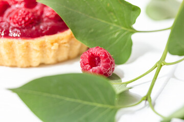 Raspberry, green leaves, raspberry cake, summer cake, delicious summer dessert