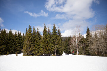 Obraz na płótnie Canvas snowy winter landscape with snow covered trees and blue sky