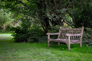Bench beneath a tree on lawn