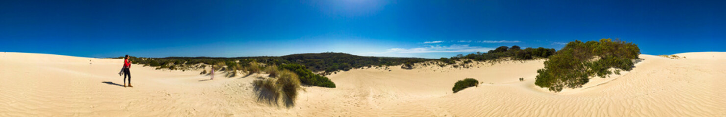 Little Sahara Desert in Kangaroo Island, Australia. Panoramic view