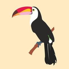 Vector image of a bright tropical Toucan bird on a floral background. tropical nature. © Inna Mikheeva