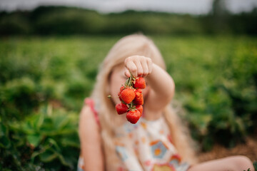 Mädchen, das Erdbeeren in ihrer Hand hält. Unscharfer Hintergrund