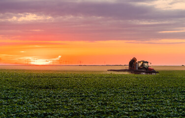 Fototapeta premium Tractor spraying soybean crops field