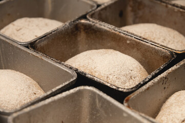 The dough for baking bread lies in bread metal forms. Dough sprinkled with sunflower seeds. Bread before baking