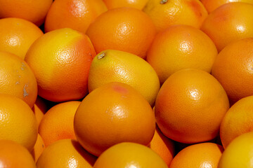 Selective focus of yellow orange in market stall, The grapefruit is a subtropical citrus tree known for its relatively large, sour to semi-sweet, somewhat bitter fruit, Nature background.