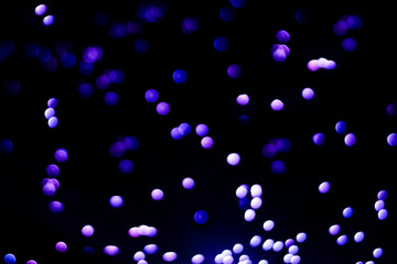 Blurred glitter background with blue blinking stars.