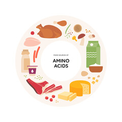 Healthy food guide concept. Vector flat illustration. Infographic of amino acids vitamin sources. Circle frame chart. Colorful dairy products, meat, cheese, egg and mushroom icon set.