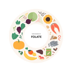 Healthy food guide concept. Vector flat illustration. Infographic of folate b9 vitamin sources. Circle frame chart. Colorful vegetables, fruits, seafood, fruit, salad, egg icon set.