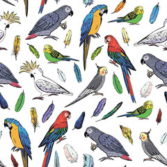 Parrot tropical bird vector seamless pattern