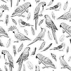 Parrot tropical bird vector line seamless pattern