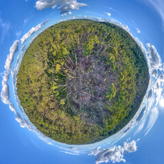 Aerial view of the Wombat State Forest with fallen trees near Lyonville, 9 months after a severe...