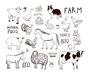 Farm animals vector illustrations line set - 509347554