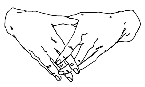 Hand drawn pen and ink study of hands - vectorised in PS	