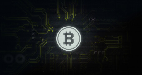 Image of interference over bitcoin symbol, data processing and computer circuit board