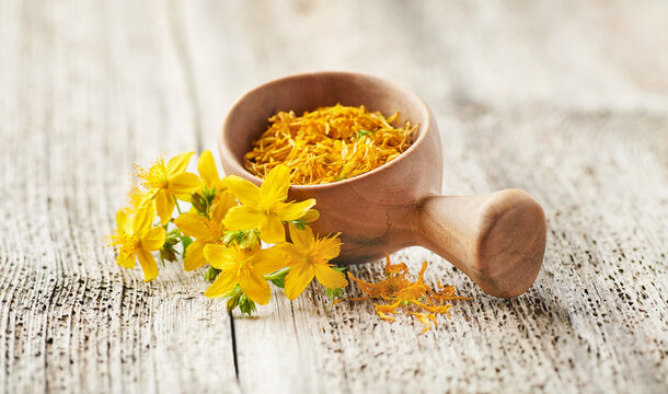 St john's wort plant on old wooden background