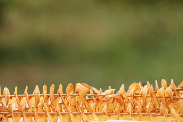 Sticks of spiral fried potato close up on a green background