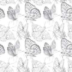 Seamless pattern with hand drawn insects on white background.Fly, moth, butterfly. Nature illustration print, texture
