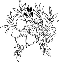 collection forest fern eucalyptus art foliage natural
leaves herbs in line style. Decorative beauty, elegant illustration 
for design: Vector flower Botanical