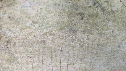 texture of the stone