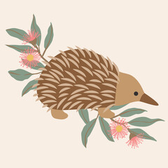 Native Exotic Australian Animals Isolated with Eucalyptus Floral Blossom Gum Leaves Echidna Hedgehog