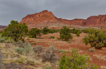 rain in desert valley (Torrey, Wayne county, Utah)