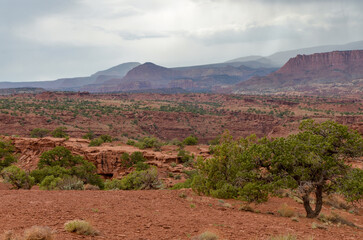 rain and stormy clouds over desert valley (Torrey, Wayne county, Utah)