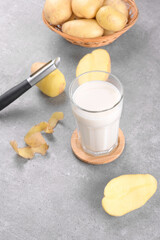 Vegan potato milk in a glass and potato tubers on grey stone table background. Plant based alternative milk replacer and lactose free, Trendy healthy vegetarian and vegan drink concept