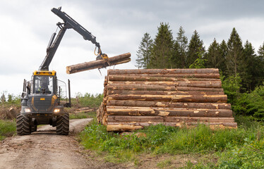 Fototapeta na wymiar an excavator grab is putting logs on a stack of logs in a forest