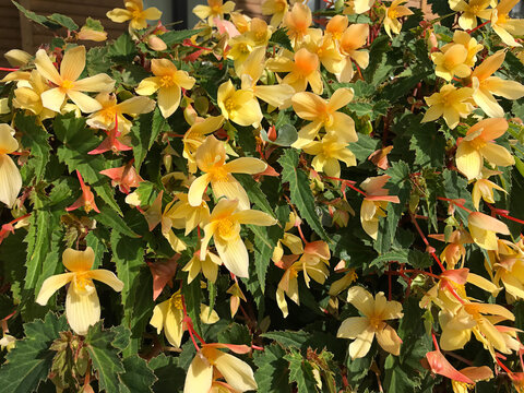 Mistral Bilder – Durchsuchen 2,692 Archivfotos, Vektorgrafiken und ...