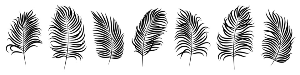 Set of vector palm leaves. Black silhouettes of tropical leaves isolated on white background. Elements for summer designs