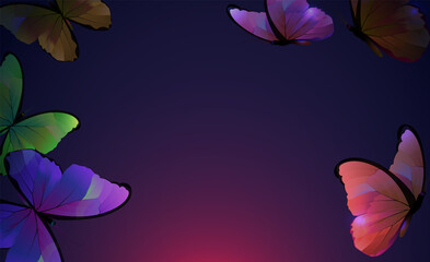 Vector background with butterflies. Multicolored butterflies on a dark background. Vector illustration