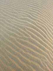 wind ripples on beach