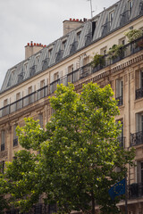 Facade of an old Parisian house of medieval architecture - tourist architectural landmarks