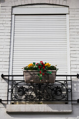 Fototapeta na wymiar Pots with decorative flowers on the eaves outside the house under the windows - landscaping and facade decoration