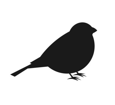 Bullfinch bird silhouette shape icon.
