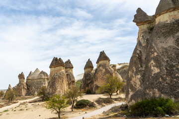 Fairy chimneys, Pasabag near Goreme and Avanos, Turkey. Also known as Monks Valley.