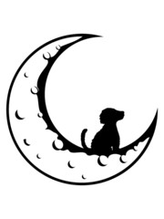 Lieber Mond Hund sitzt 